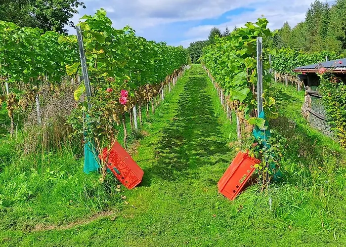 Leuner بيت للعطل *